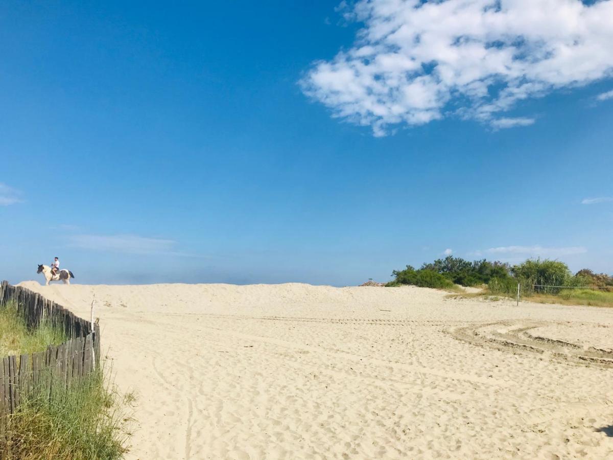 Les Capitelles Bord De Plage Avec Grande Piscine - Vue Montagne Saint-Cyprien  Exteriör bild