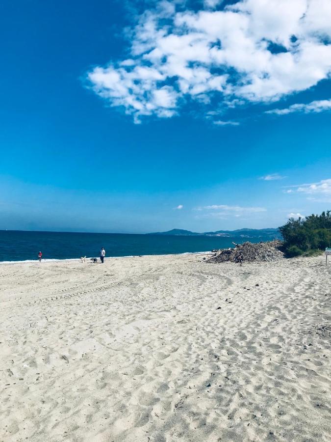 Les Capitelles Bord De Plage Avec Grande Piscine - Vue Montagne Saint-Cyprien  Exteriör bild